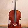 Violoncello 1