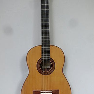 Spanische Konzertgitarre 1