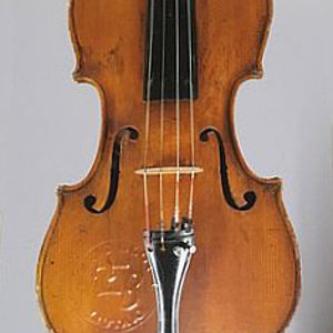 Viola 1