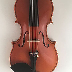 Violine 1