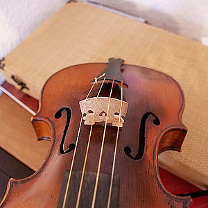 Violine 2