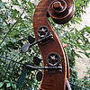 Kontrabass in Violinenform 1