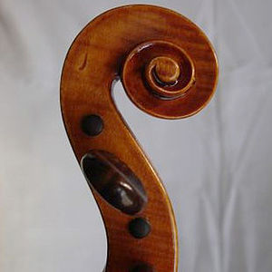 Violine 3