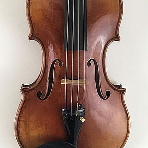 Violine 1