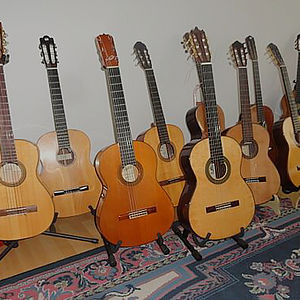 diverse Konzertgitarren fürSolisten 1