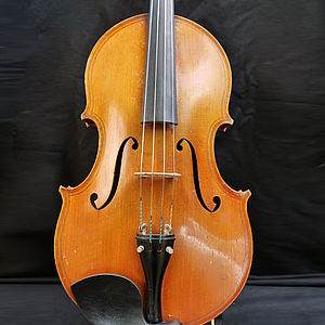 Viola 3