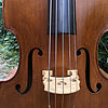 5-saiter Kontrabass 1