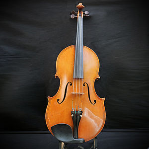 Viola 2