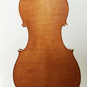 Violoncello 2