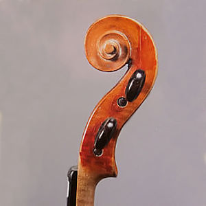 Violine 3