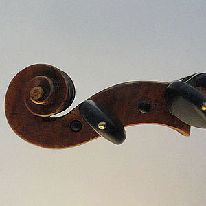 Viola 3