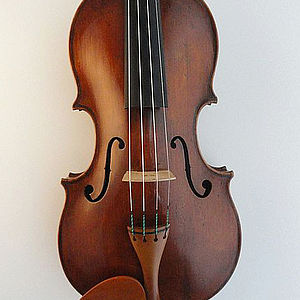 Viola 1