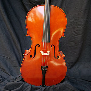 Violoncello 1