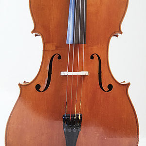 Violoncello 3