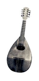 Laute & Mandoline