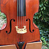 Kontrabass 1
