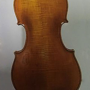 Viola 2