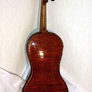 Violine in Gitarrenform 2