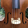 5-saiter Kontrabass 1