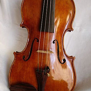 Violine 1