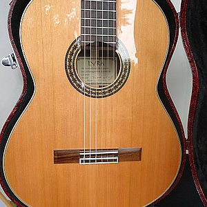 Konzertgitarre Modell Concerto 2