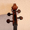 Violoncello 1