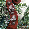 Kontrabass 1